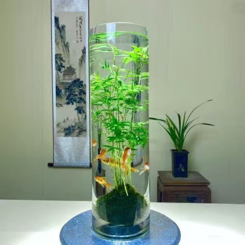 Jade Guanyin Bamboo Moss Ball Hydroponic Model Landscaping Potted Green Plants Flower Plants Hydroponic Aquaculture Amazon LD