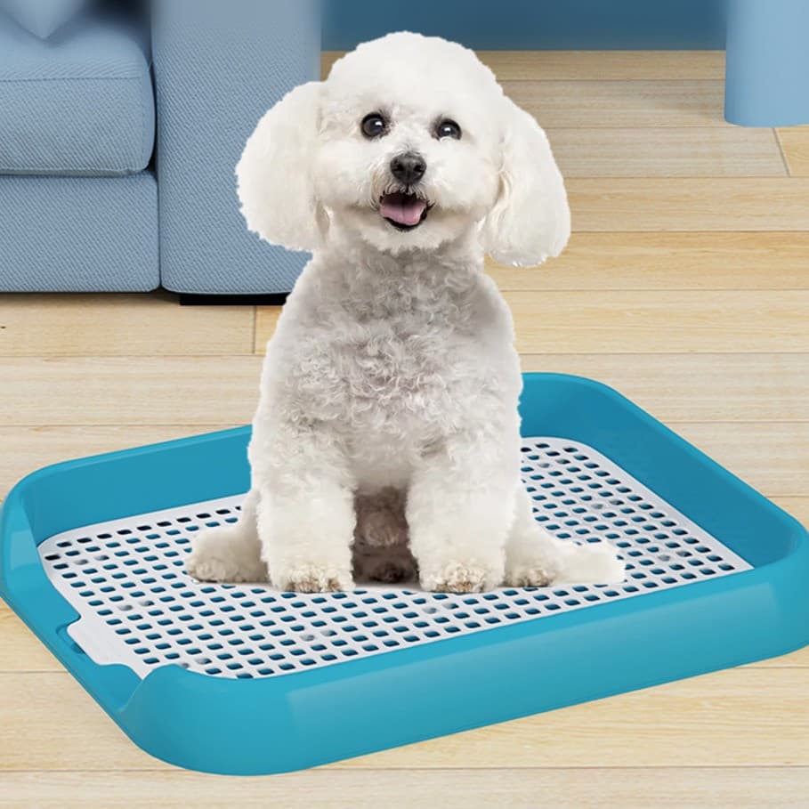 Small Dog Toilet Pad Tray, Anti-Step Poop Flat Dog Urinal, Pee Pad Holder for Teddy, Amazing Price Dog Toilet
