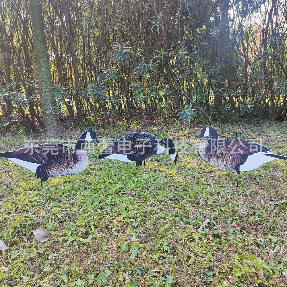 Hollow Board Canada Goose PP Goose Decoy for Outdoor Hunting Goose, Yard Decoration Canada Goose Canada