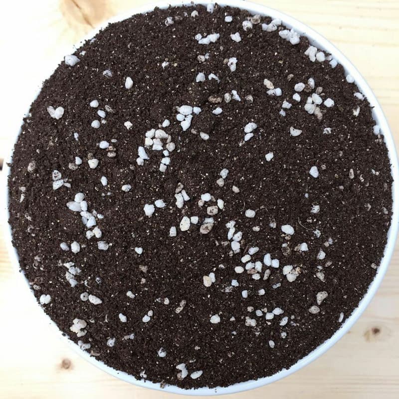 General-purpose Nutrient Soil for Gardening, Releases Nutrients for 90 Days, for Flowers and Vegetables, Gardening Substrate Soil
