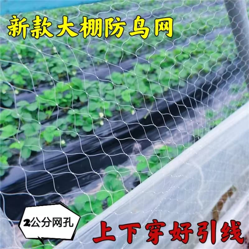 Agricultural Strawberry Greenhouse Vent Bird-Proof Net, Watermelon Greenhouse Bird-Proof Net, Grape Orchard Skynet, Fruit Tree Protection Net