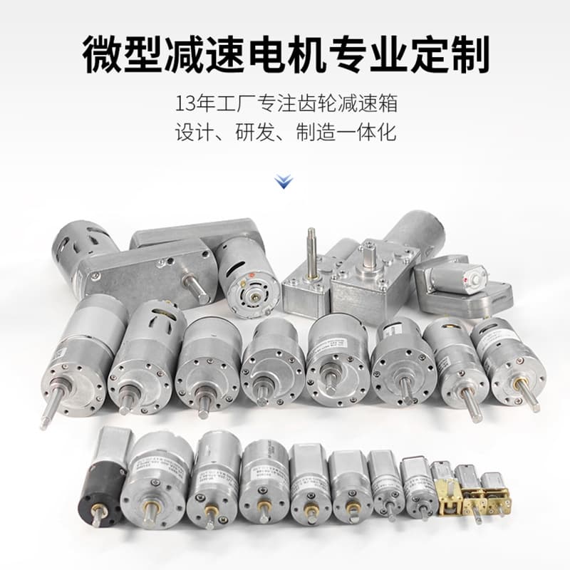 Source Factory 6V 12V DC Gear Motor 24V Gearbox Micro Gear Motor Low Speed Small Motor Custom