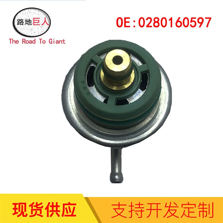 Automotive Fuel Pressure Regulator for BMW E36 E39 E38 E53 0280160597