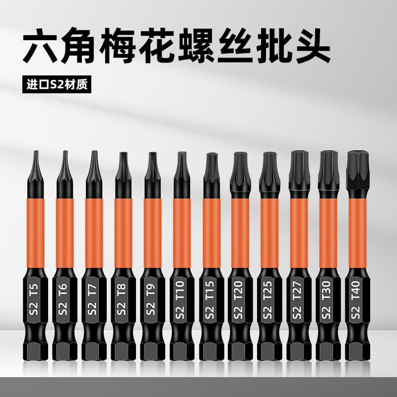 Tamper-Proof Torx Bit Set S2 Alloy Steel Anti-Slip TT Security Star Assorted Loose Bits for Security Screws