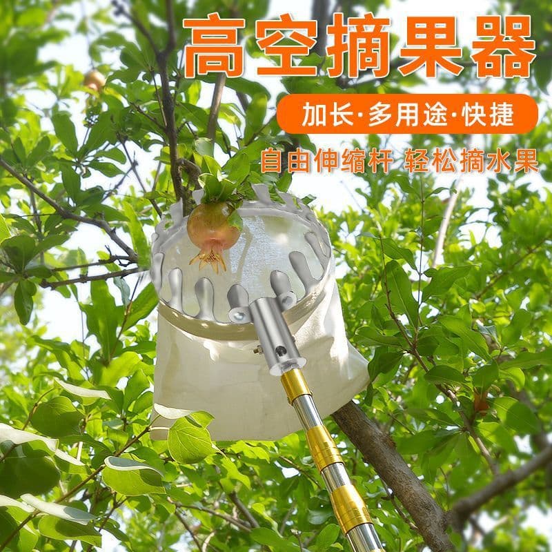 This fruit-picking gadget is a telescopic pole for picking plums, persimmons, loquats, and mangoes.