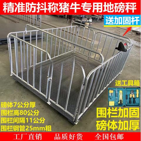 Floor scale for weighing pigs Electronic floor scale for weighing pigs Electronic floor scale for weighing cattle Livestock cattle weighing Floor scale thickened