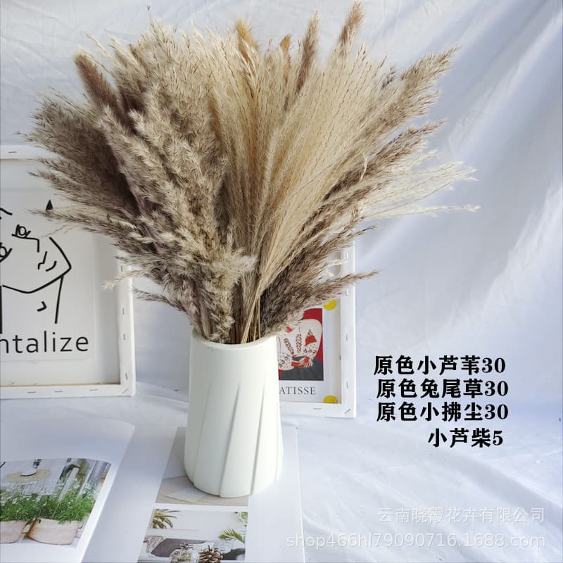 Wholesale Dried Flowers Preserved Flowers Small Pampas Grass Amazon Hot Selling Bouquet Dried Flowers Pampas Grass Dried Flowers