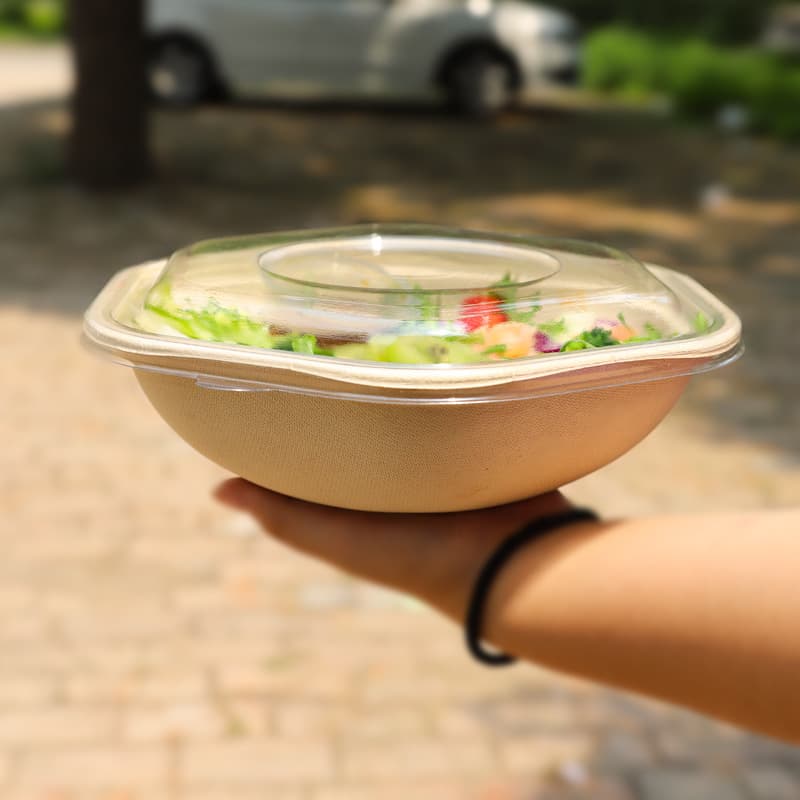 Degradable Disposable Thickened Hexagon Bowl Salad Light Food Bento Pasta Bowl Takeaway Hexagon Meal Box