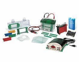 USA Bio-Rad Mini Vertical Electrophoresis Tank Bio-Rad Catalog Number: 165-8001 Lainai