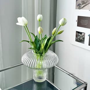 Trending Decorative Flying Saucer Glass Vase Decoration Simple Living Room Flower Vase Hydroponic Green Plant Ins Flower Vessel High-End Feel