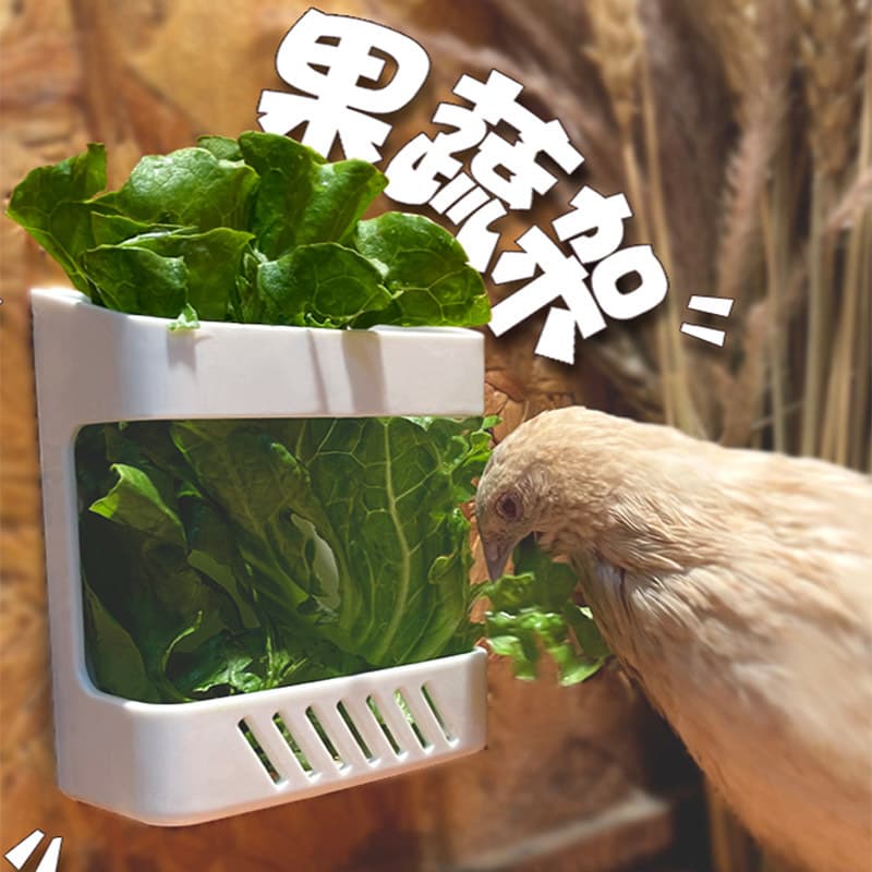 Rutin Chicken Feeder Vegetable Rack, Rutin Chicken Landscape Products, Feeding Fruit and Vegetable Rack, Chicken Quail Feeding Table, Fruit Clip