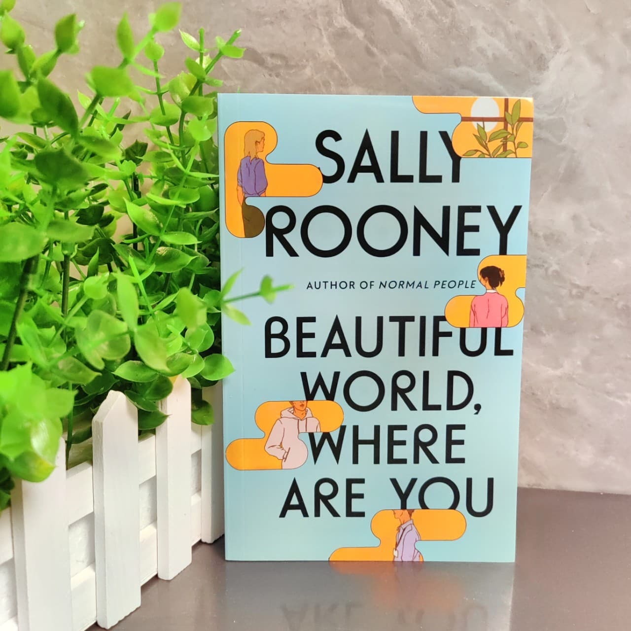 Beautiful World, Where Are You (English Edition) by Sally Rooney