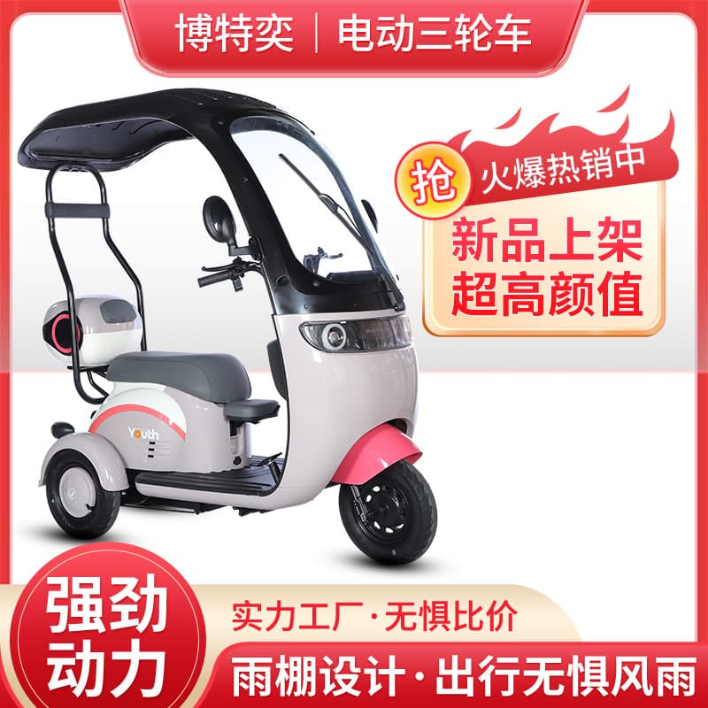 Factory Direct New Catalog Electric Tricycle Mini Home Use Integrated Canopy Electric Leisure Tricycle