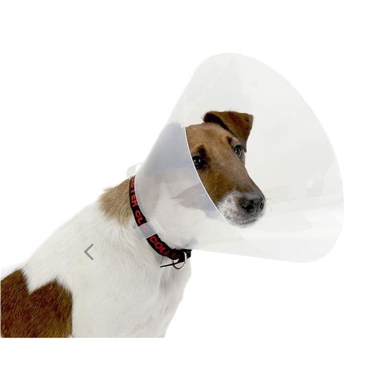 Elizabethan Collar Pet Head Protector Cat Dog Anti-Lick Bite Recovery Soft E-Collar for Large Dogs