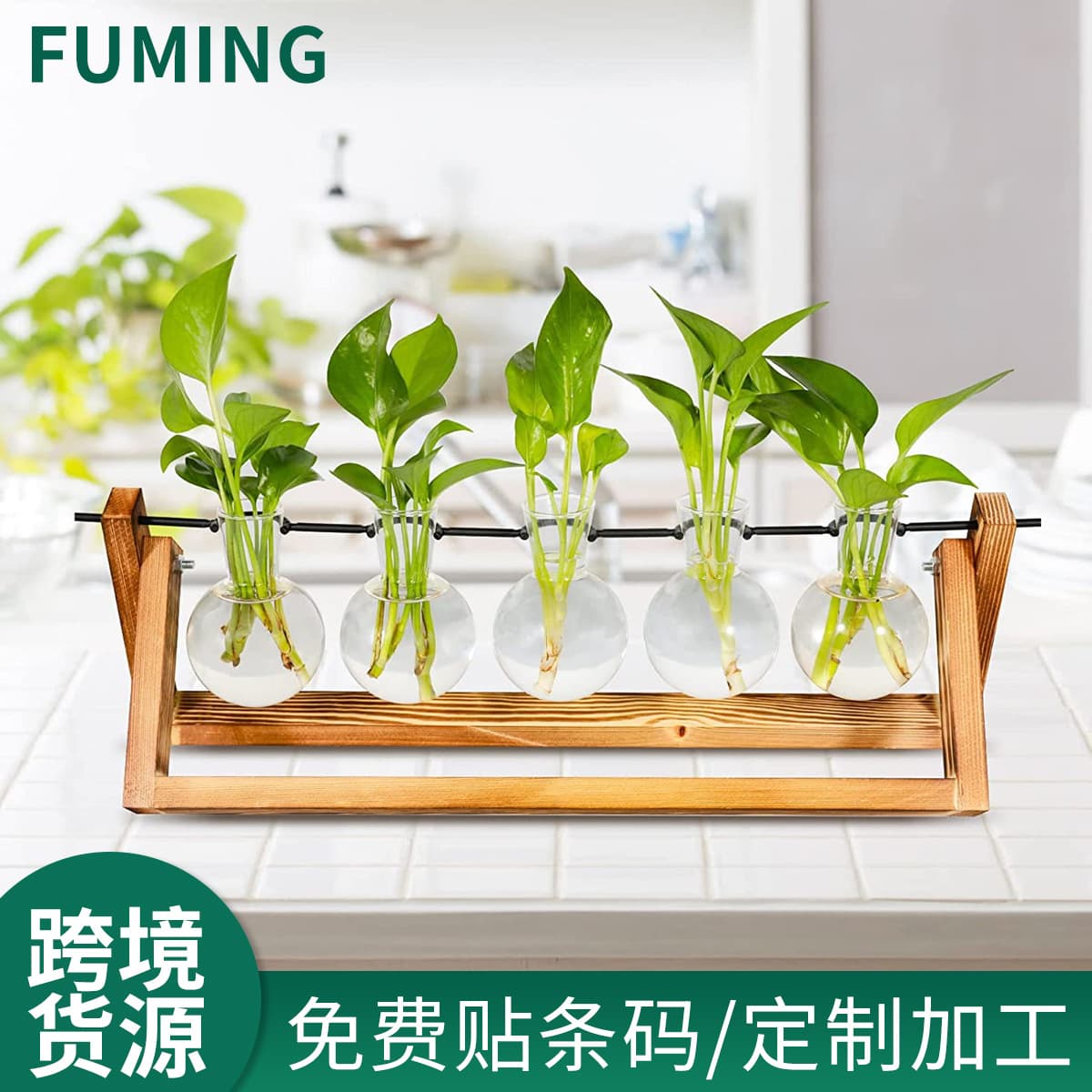 Desktop Hydroponic Glass Container 5-Ball Wooden Stand Pothos Plant Vase Indoor Home Garden Decoration