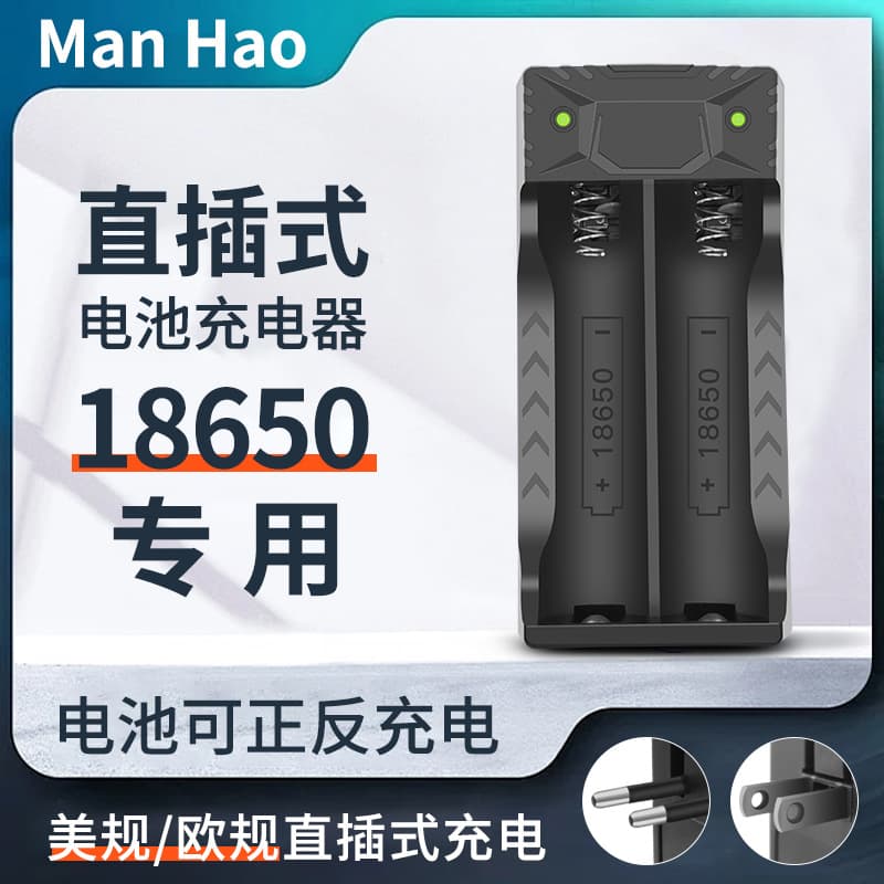 18650 Battery Charger Smart Dual Charger 3.7V 4.2V Battery Level Charger Dual Slot Plug