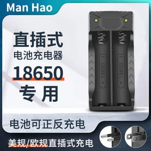 18650 Battery Charger Smart Dual Charger 3.7V 4.2V Battery Level Charger Dual Slot Plug