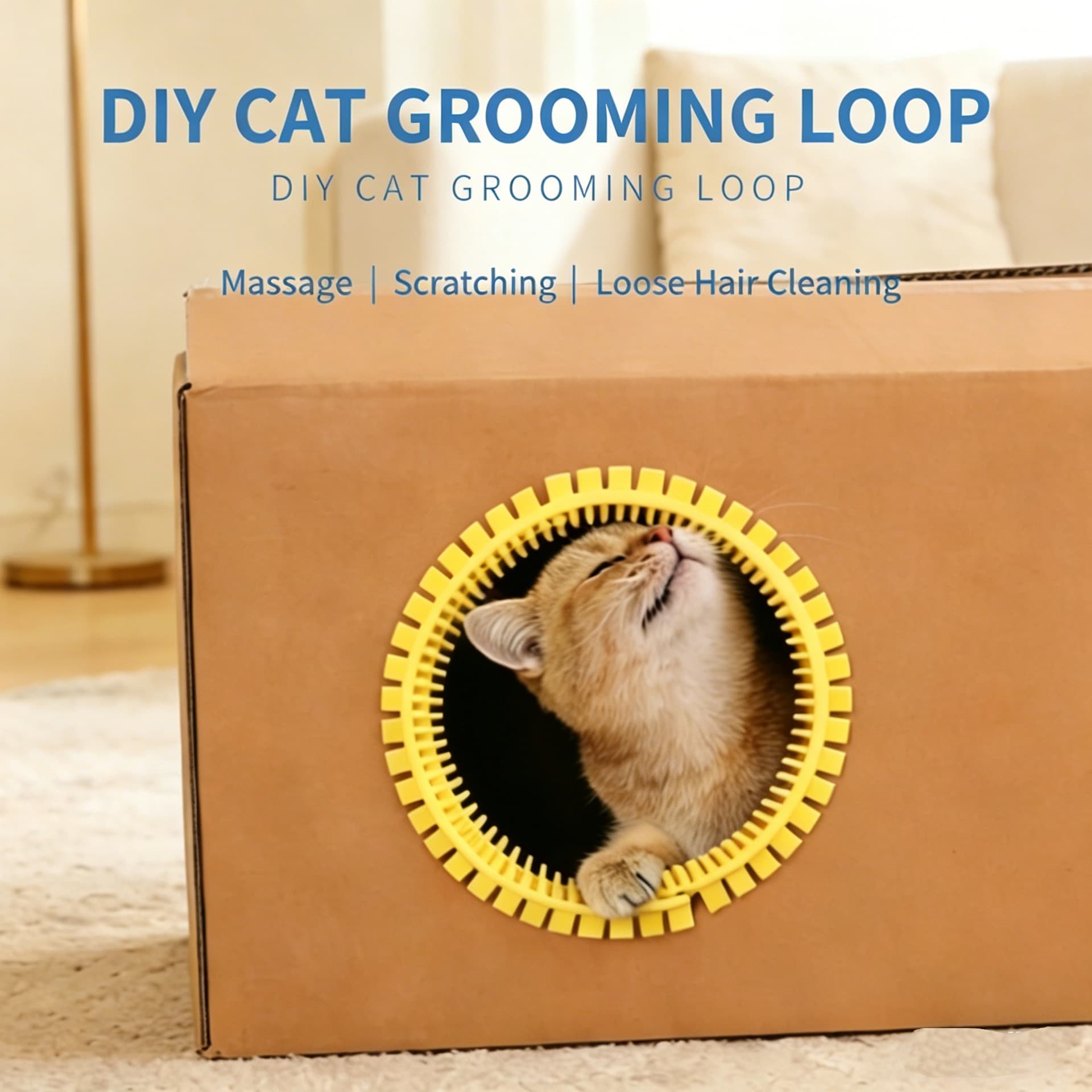 Cat Rubbing Grooming Ring for DIY Cardboard Box Cat Houses