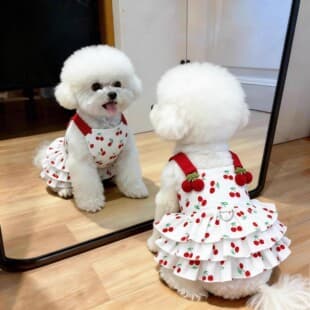 Cat Summer Clothes Thin Breathable Princess Dress Cute Ins Small Dog Teddy Bichon Pomeranian Summer Skirt