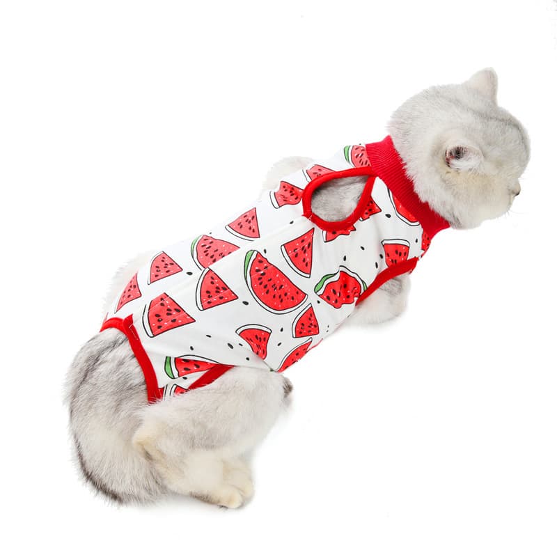 Cross-border Pet Hospital Surgery Gown Fruit Pattern Comfortable Fitting Kitten Weaning Clothes Cat Spay Suit Care
