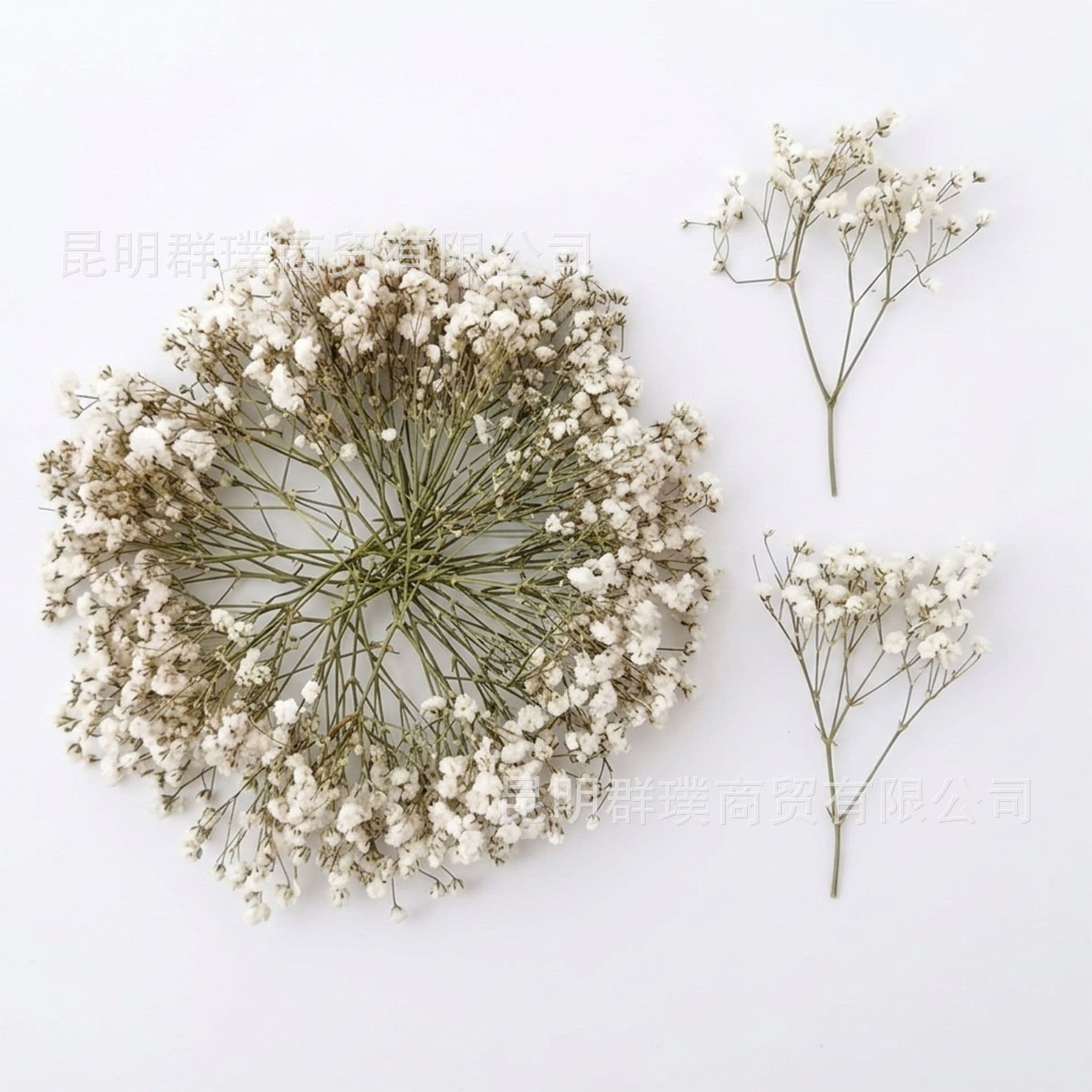 Boxed Baby's Breath Dried Flowers Preserved Flowers DIY Accessories Amazon Temu Cross-Border Hot Selling Source Yunnan Manufacturer