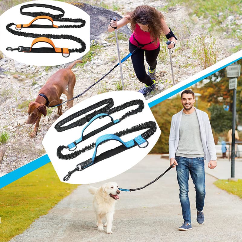 Amazon Pet Leash Portable Running Reflective Dual Retractable Dog Leash Pet Supplies
