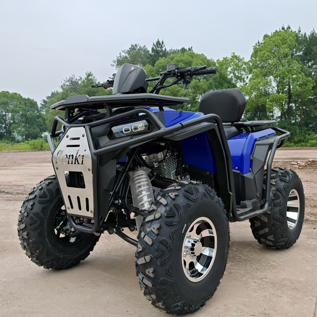 All-Terrain 200cc ATV Off-Road Motorcycle Automatic Big Sirius Sand Cart for Scenic Areas