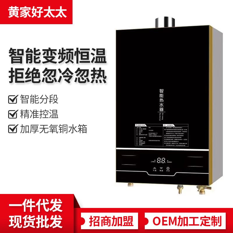 Gas Water Heater 12L 16L Household Forced Exhaust Energy Saving Natural Gas LPG Water Heater Factory Wholesale