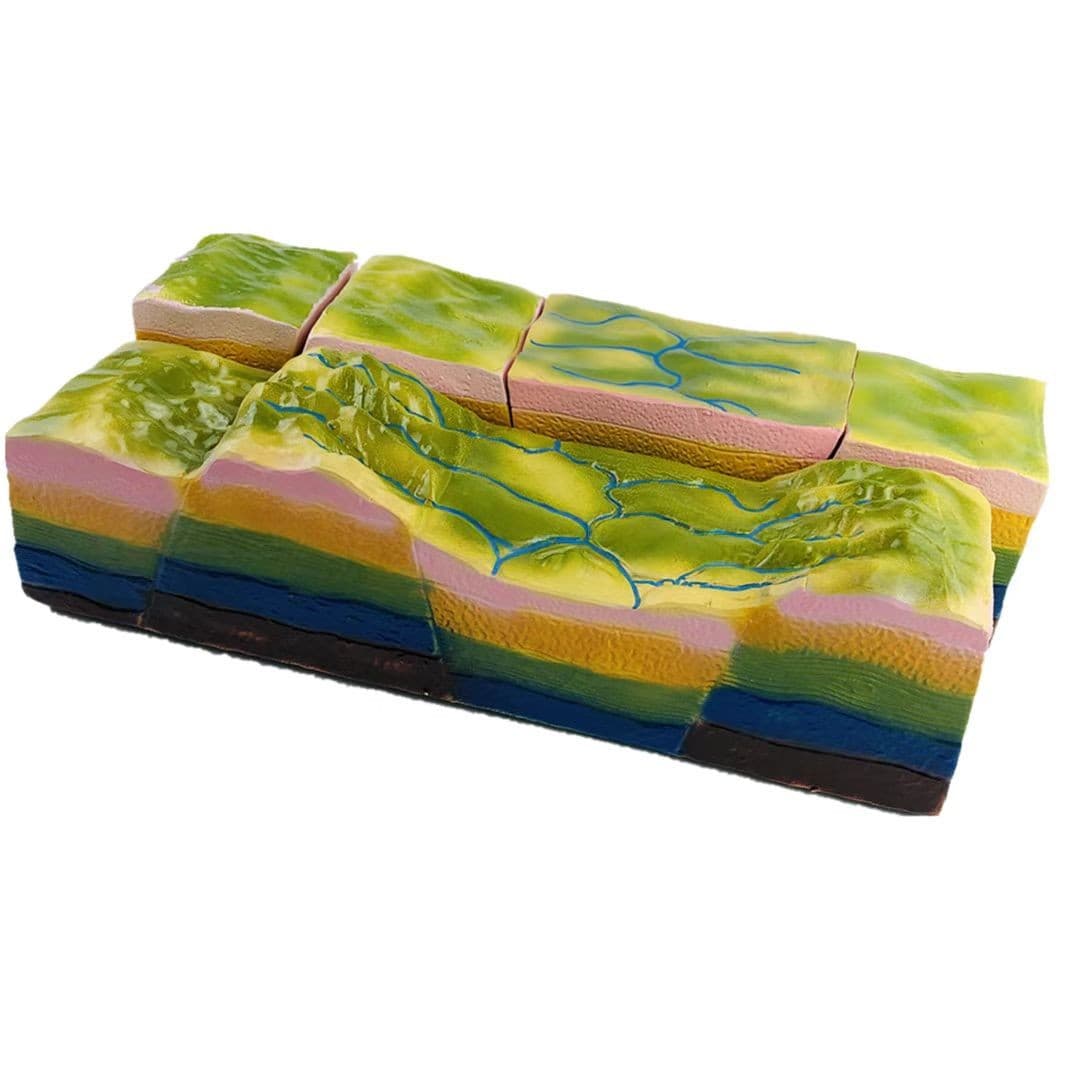 Fault Structure and Horst-Graben Development Model - Middle School Geography Landform Study