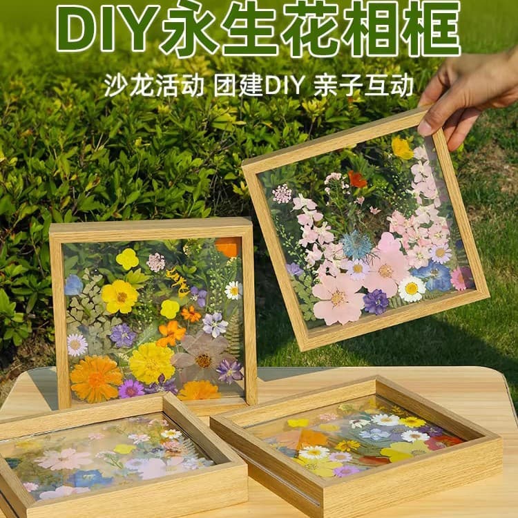 Acrylic Specimen Glass Frame Solid Wood Photo Frame Kindergarten DIY Painting Dried Flower Art Materials Handicraft