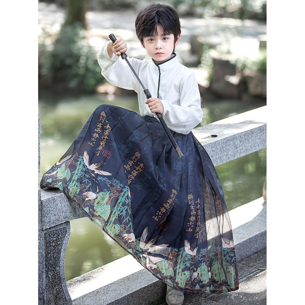 Children's Hanfu Horse Face Skirt for Boys 2025 New Chinese Style Autumn Spring Clothing Boys Ancient Costume