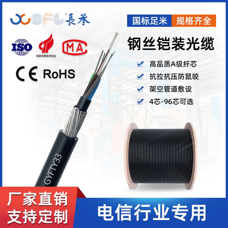 GYFTY33 Submarine Optical Cable Outdoor Steel Wire Armored Waterproof 8-Core 12-Core Direct Buried Optical Cable