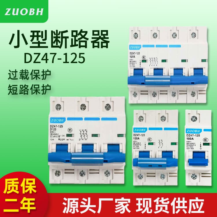 DZ47-125 Miniature Circuit Breaker 1P 2P 3P 4P 80A 100A 125A