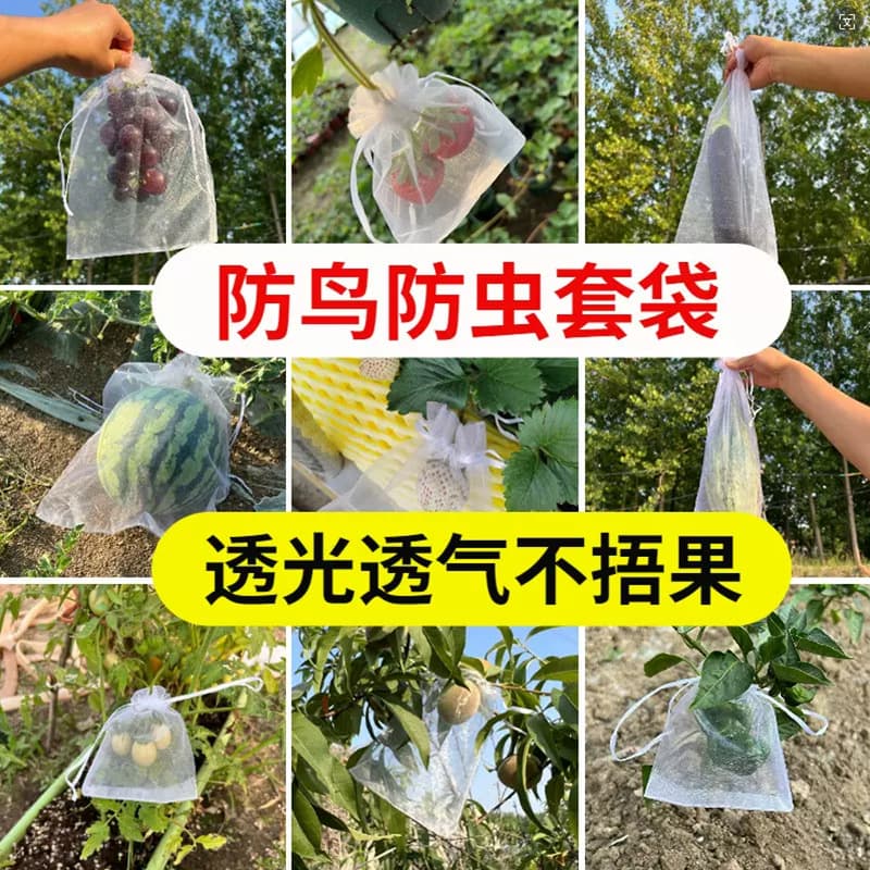 Mu Jiu Fruit Tree Insect and Bird Prevention Net Bags for Protecting Grapes, Figs, Guavas, Strawberries, and Peaches
