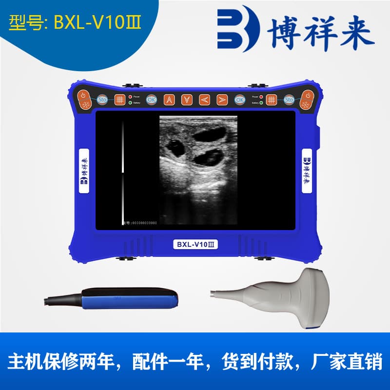 Pig B-Ultrasound Machine Veterinary B-Ultrasound Machine High-Definition Probe Color Portable Pregnancy Detector for Sheep and Cattle Livestock Pig Farming Equipment