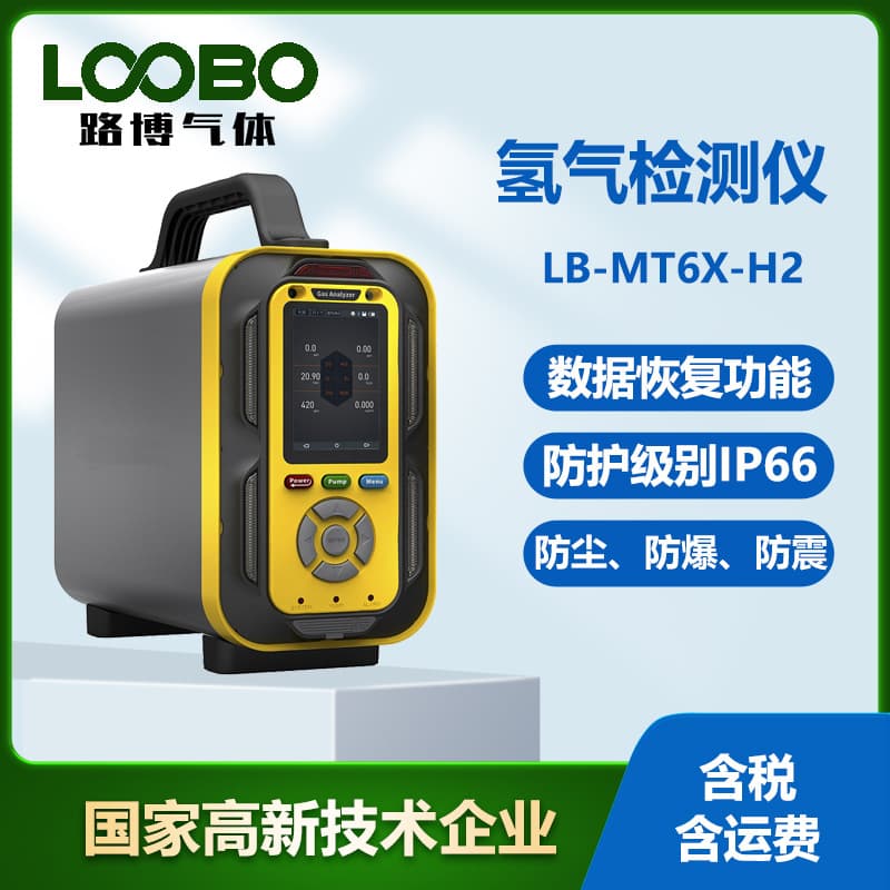 Portable Hydrogen Gas Detector Hydrogen Concentration Analyzer Explosion-Proof Shock-Resistant Pump-Suction Hydrogen Detector