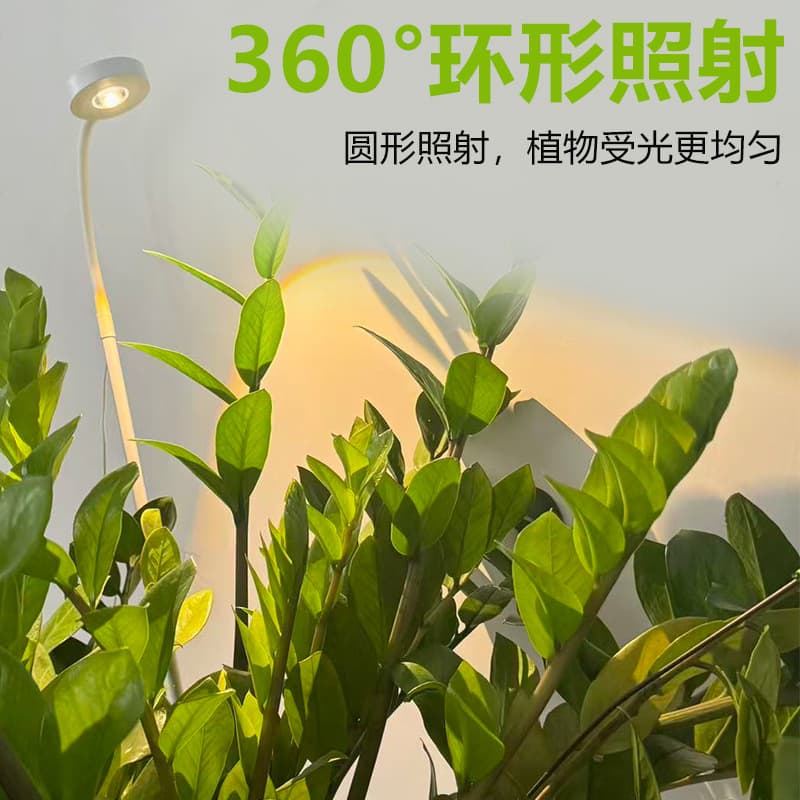 Creative led plant growth light full spectrum succulent flower plant fill light USB night light solar aperture light