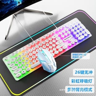 Wired Illuminated Silent Keyboard High-Aesthetic USB Interface Gaming Office Mouse Keyboard Set for Laptop Desktop Universal