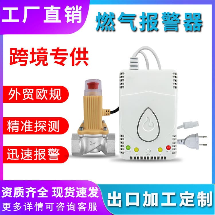 Gas alarm European standard export model, kitchen natural gas detector for cross-border home combustible gas leakage detection