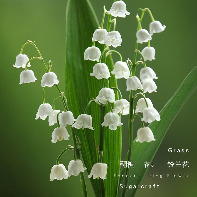 Ultra-light clay flower lily of the valley leaf texture embossing silicone mold resin clay lily of the valley leaf embossing silicone mold