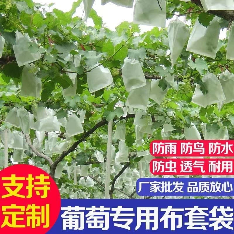 Non-woven Fruit Bag, Grape Bag for Bird and Insect Protection, Waterproof Fruit Bag, Seedling Bag, Wholesale in Stock