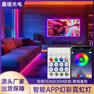 Cross-border Hot Selling USB LED Strip 5V Dream Color Flowing Water Chase Light Bar Bluetooth App Outdoor Waterproof Neon Strip