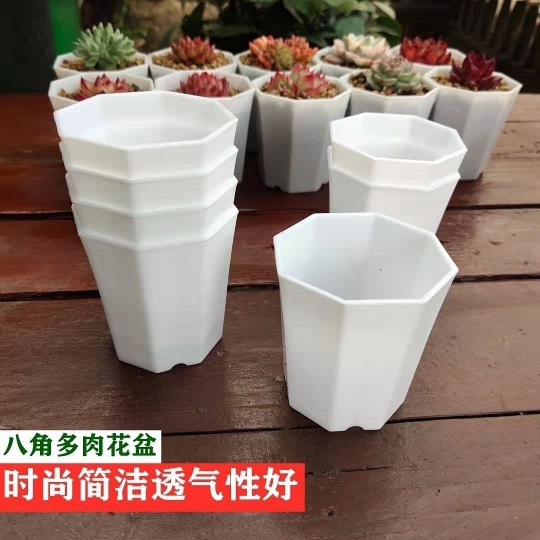 4.5-5.8-6.8cm Mini Octagonal Succulent Pot, Thumb Pot, Small Flower Pot, Root Control Pot