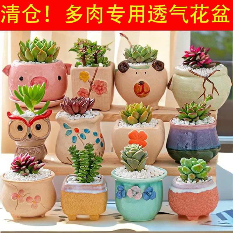 Creative and Cute Breathable Terracotta Succulent Pot for Office Desk Display, Exquisite Small Planter