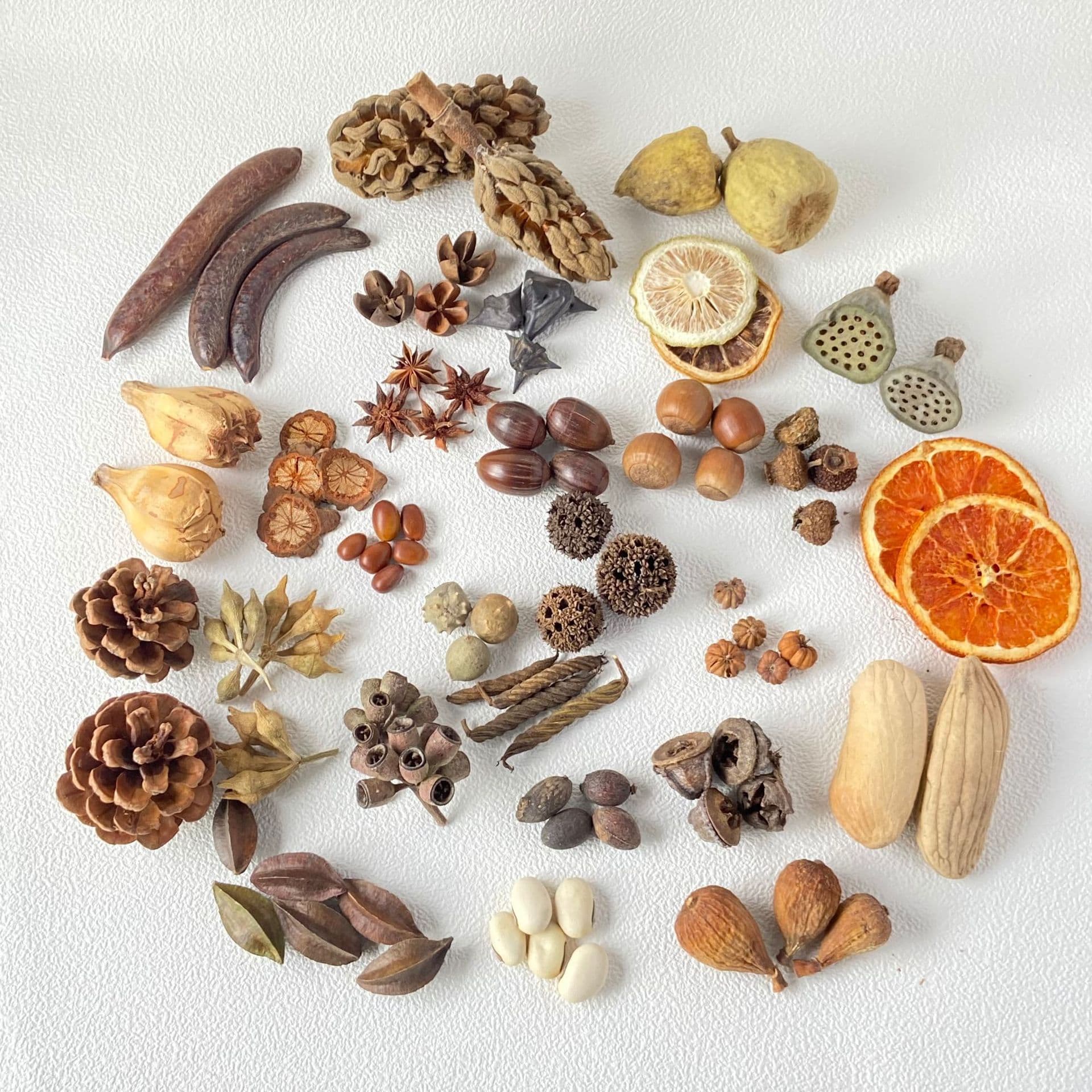 Dozens of dried plant fruits, Christmas decorations, dried fruit handmade materials, pod doll material packages, graduation season gifts
