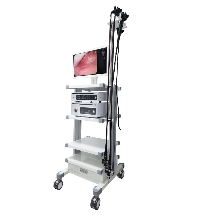 Domestic Endoscope Medical Gastrointestinal Electronic Flexible Endoscope Veterinary Equipment