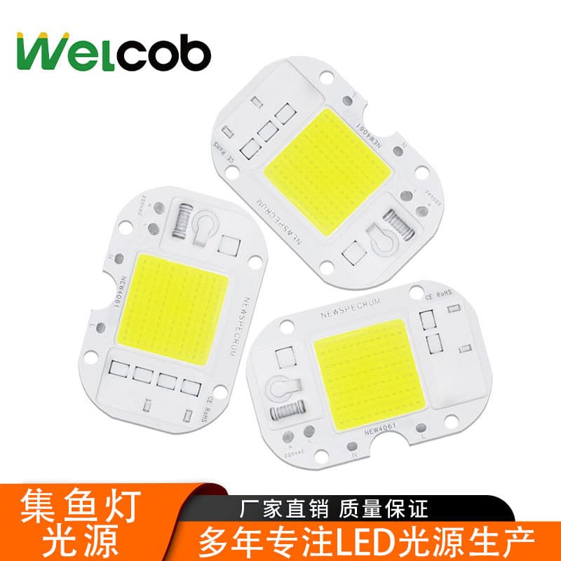 50W driver-free cob light source AC220V integrated led lamp bead outdoor lamp special cob lamp bead high power