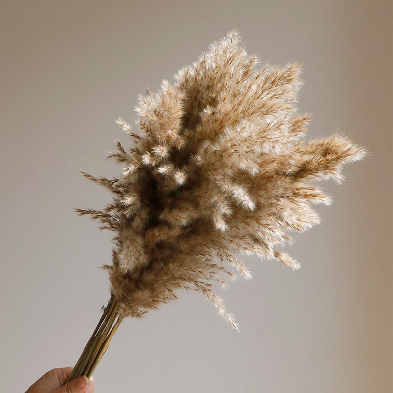 Air-Dried Reed and Wheat Ear Dried Flowers Wabi-Sabi Style High-End Floral Art for Guesthouses and Shops Atmosphere Decoration Dried Flower Material Kit