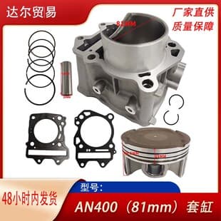 Motorcycle Engine Cylinder Kit for Suzuki Burgman 400 AN400 11211-05H00-0F0