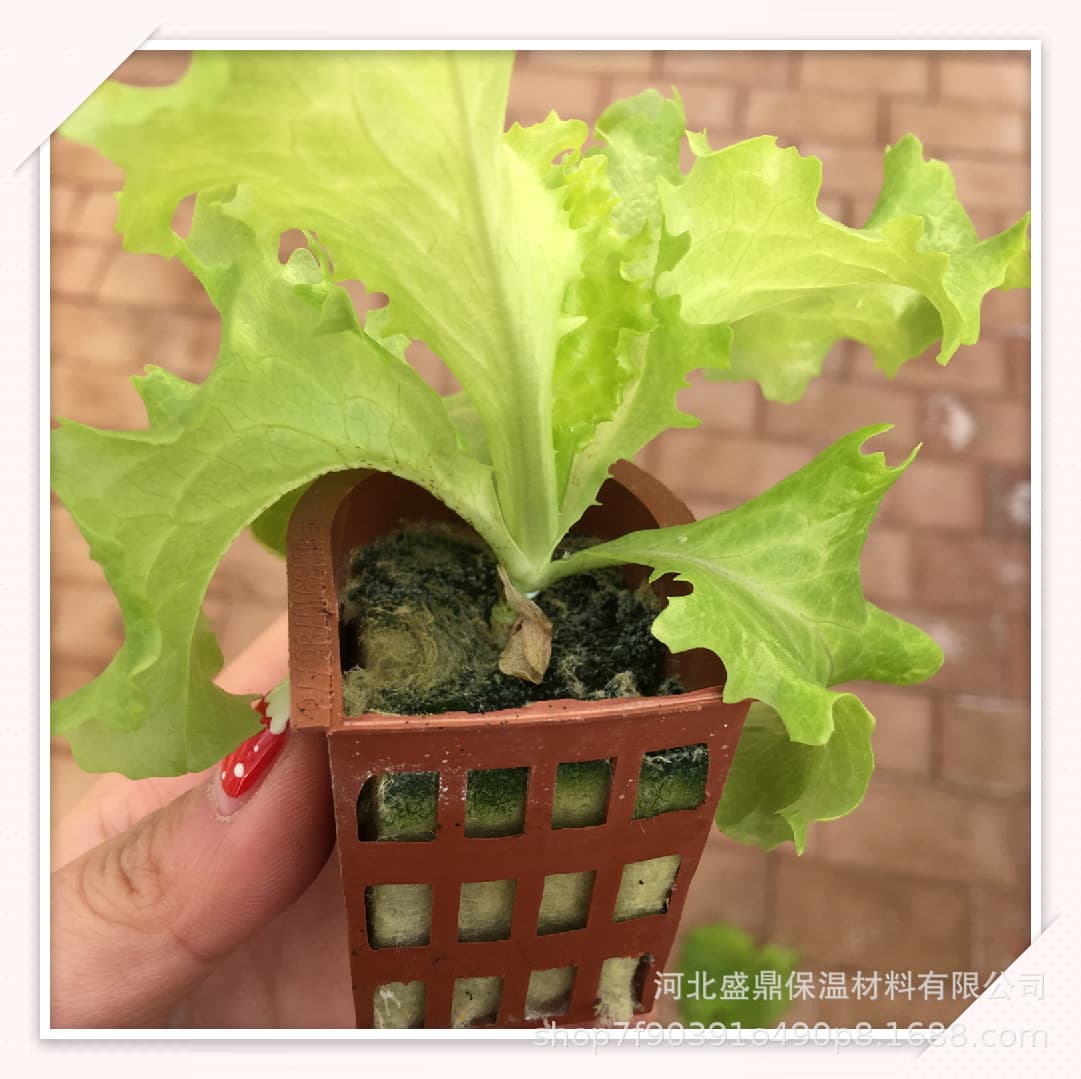 【Shengding Factory Direct Supply】Soilless Cultivation Export Trade Rock Wool Planting Blocks Seedling Substrate for Green Plants